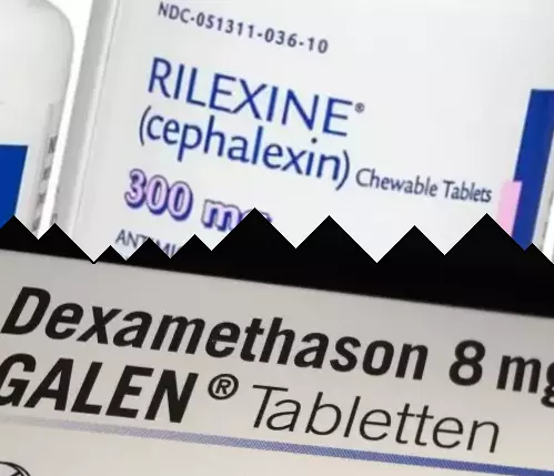 Cephalexin mot Dexametason