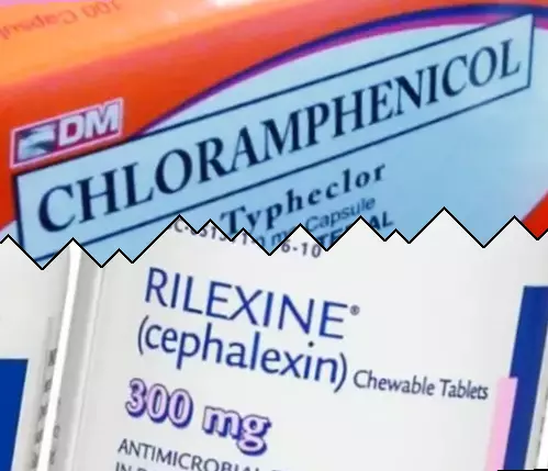 Kloramfenikol mot Cephalexin